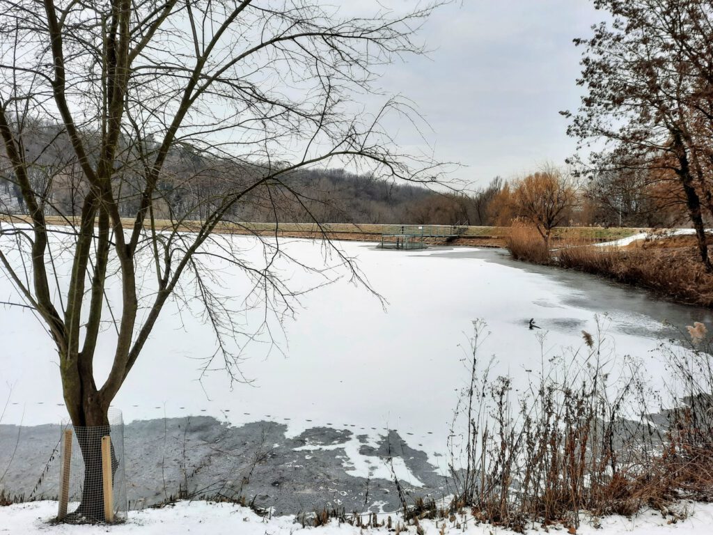 Winterzauber in dem Parkwald im Mühlen-Tal (Malom-völgy)