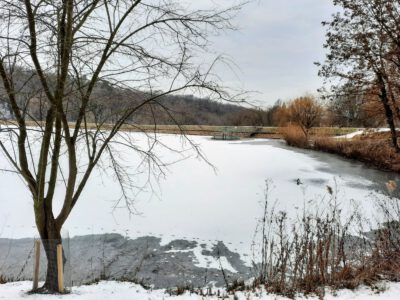 Winterzauber in dem Parkwald im Mühlen-Tal (Malom-völgy)