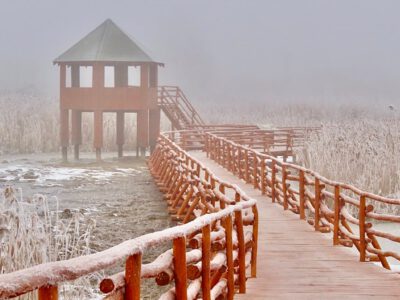 Winteraufnahmen über den Nádirigó -Drosselrohrsänger Lehrpfad in Tiszakécske