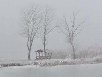 Winteraufnahmen über den Nádirigó -Drosselrohrsänger Lehrpfad in Tiszakécske