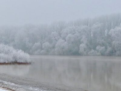 Das mit Raureif bedeckte Theiß-Ufer in Tiszakécske