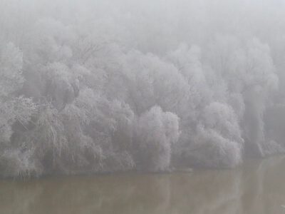 Das mit Raureif bedeckte Theiß-Ufer in Tiszakécske