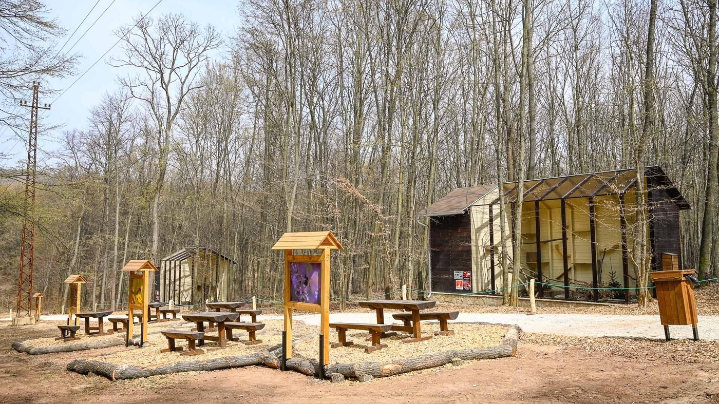 Der Budakeszi Wildpark erwartet die Besucher mit neuen Attraktionen