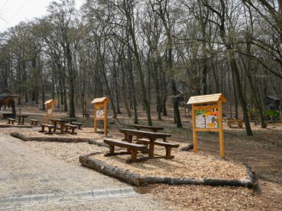 Der Budakeszi Wildpark erwartet die Besucher mit neuen Attraktionen