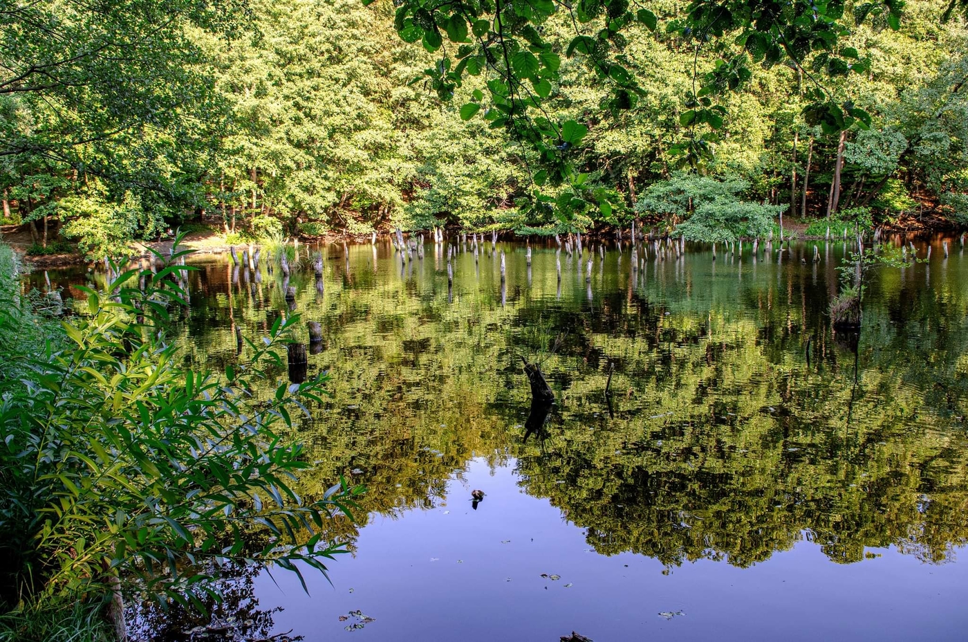 Der Hubertlaki-See, der märchenhafte See des Bakony-Waldes