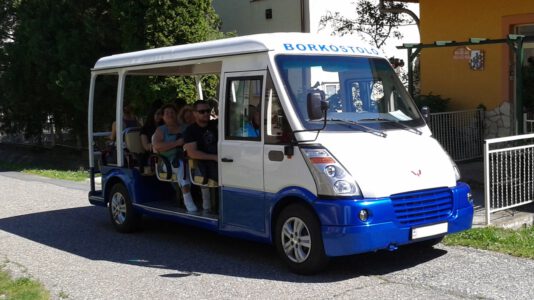 Stadtrundfahrt und Weintour in Zalakaros mit dem Dotto-Minibus