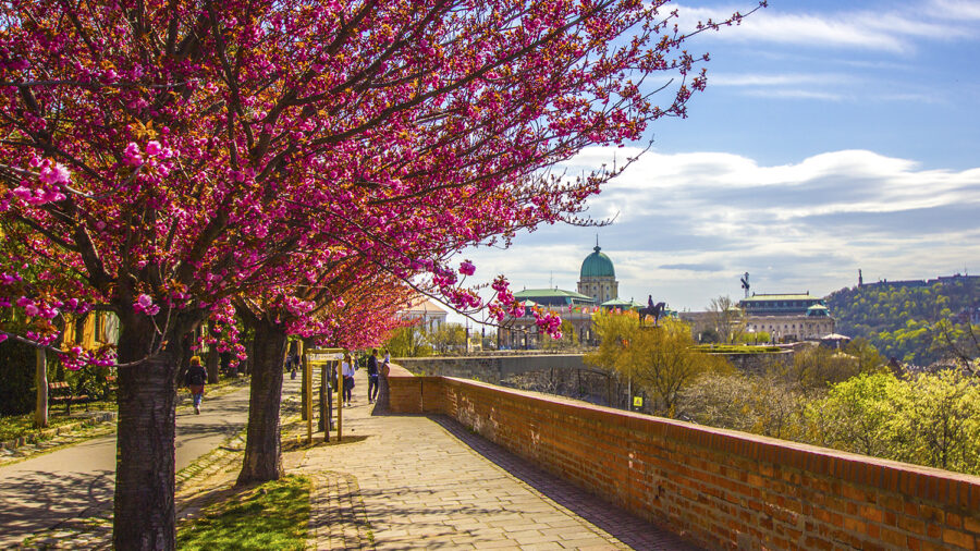 Frühlingsfestival 2023, Budapest