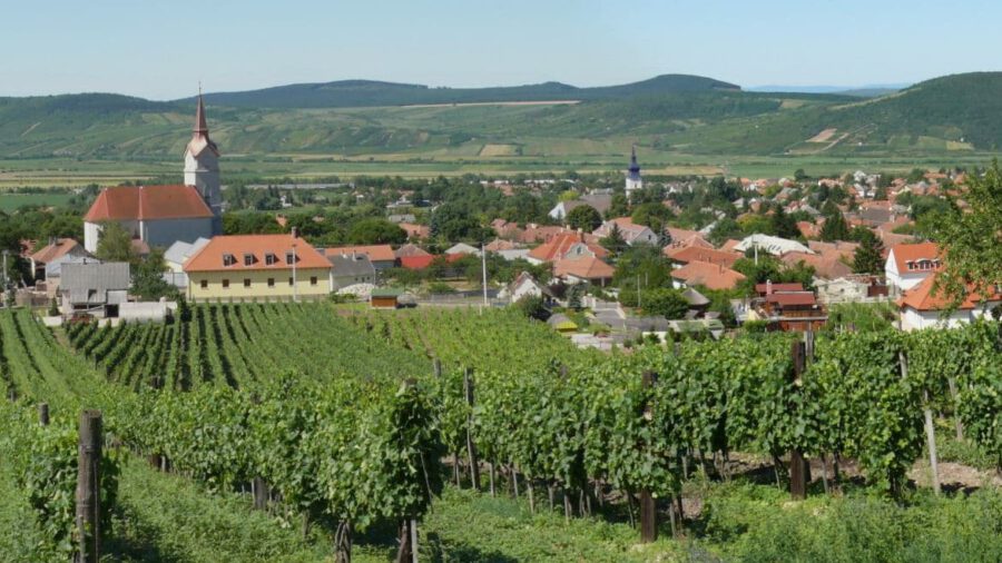 Wein- und Familientag zum Wenzelstag 2023, Tállya