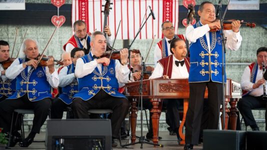 Forgórózsa-Festival 2024, Tatabánya